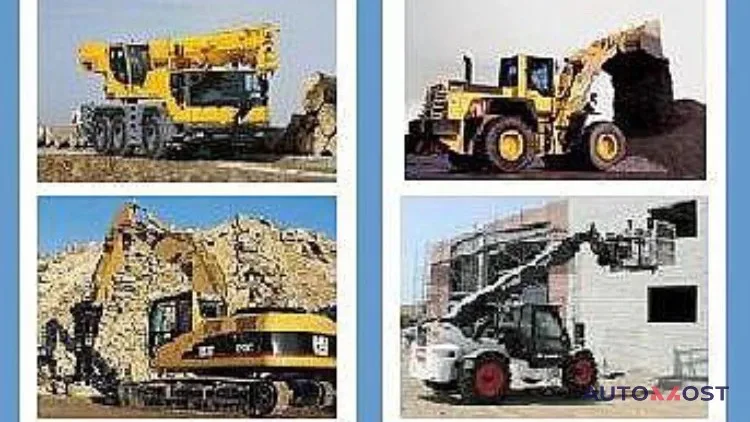 Фото 3 из 5