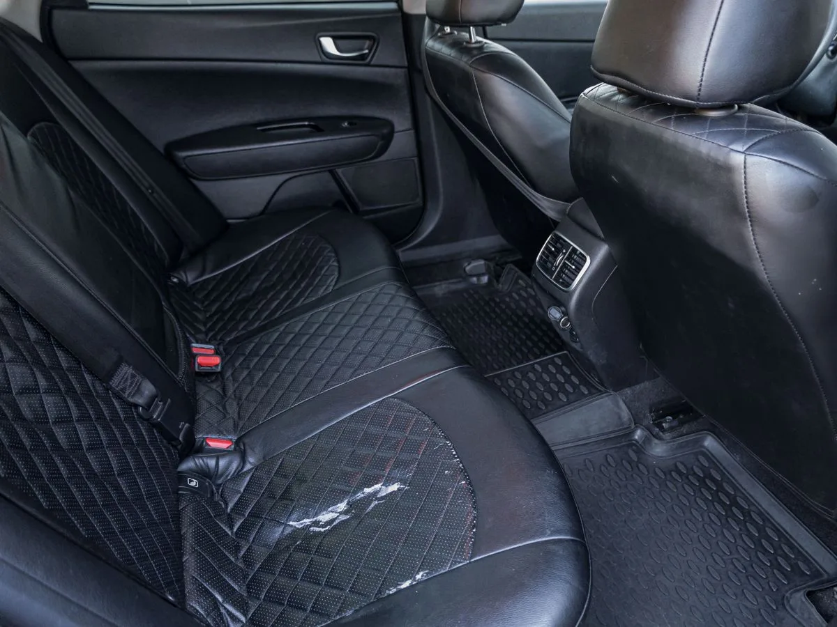 Фото 10 из 14