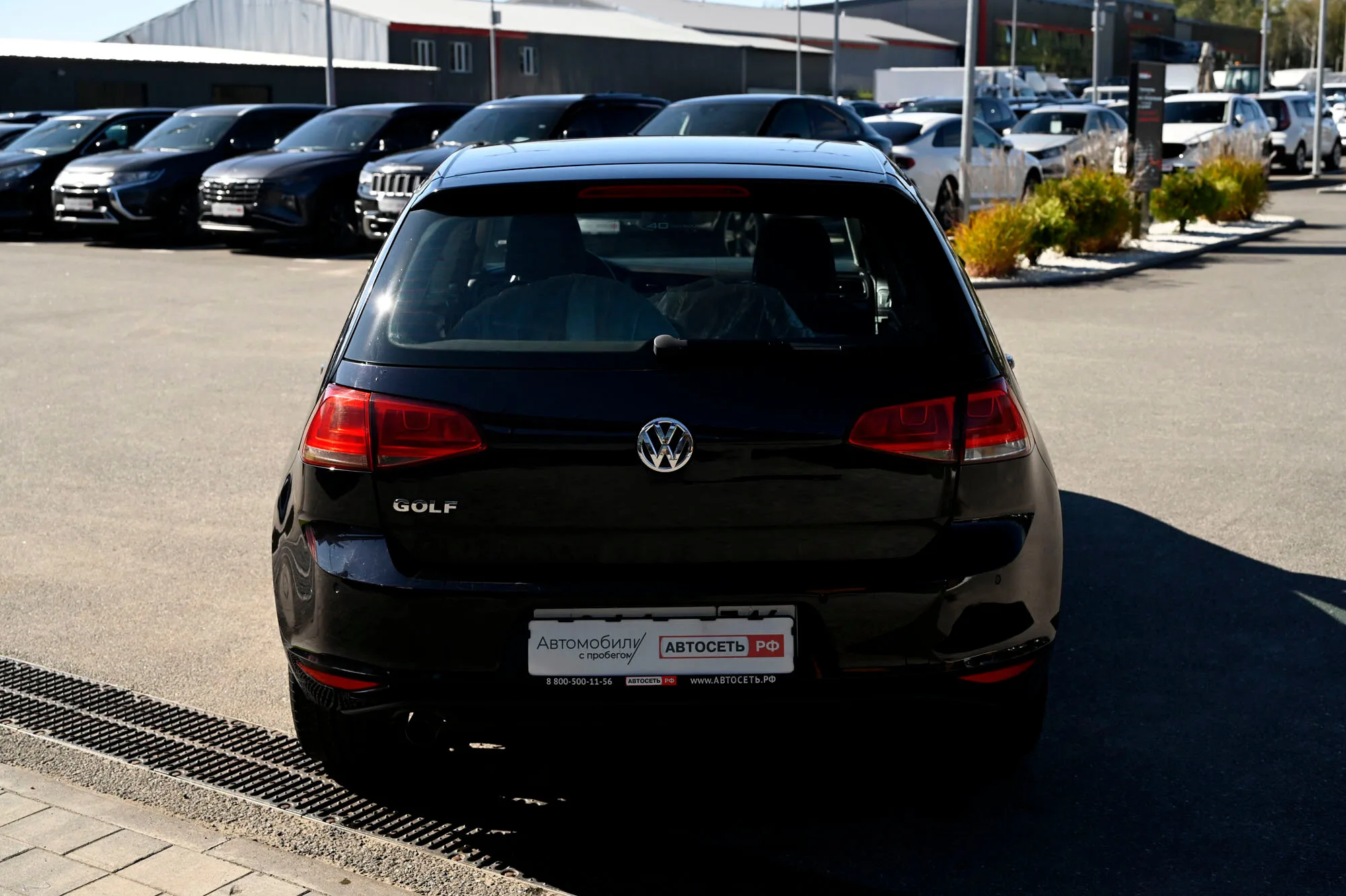 Фото 8 из 24