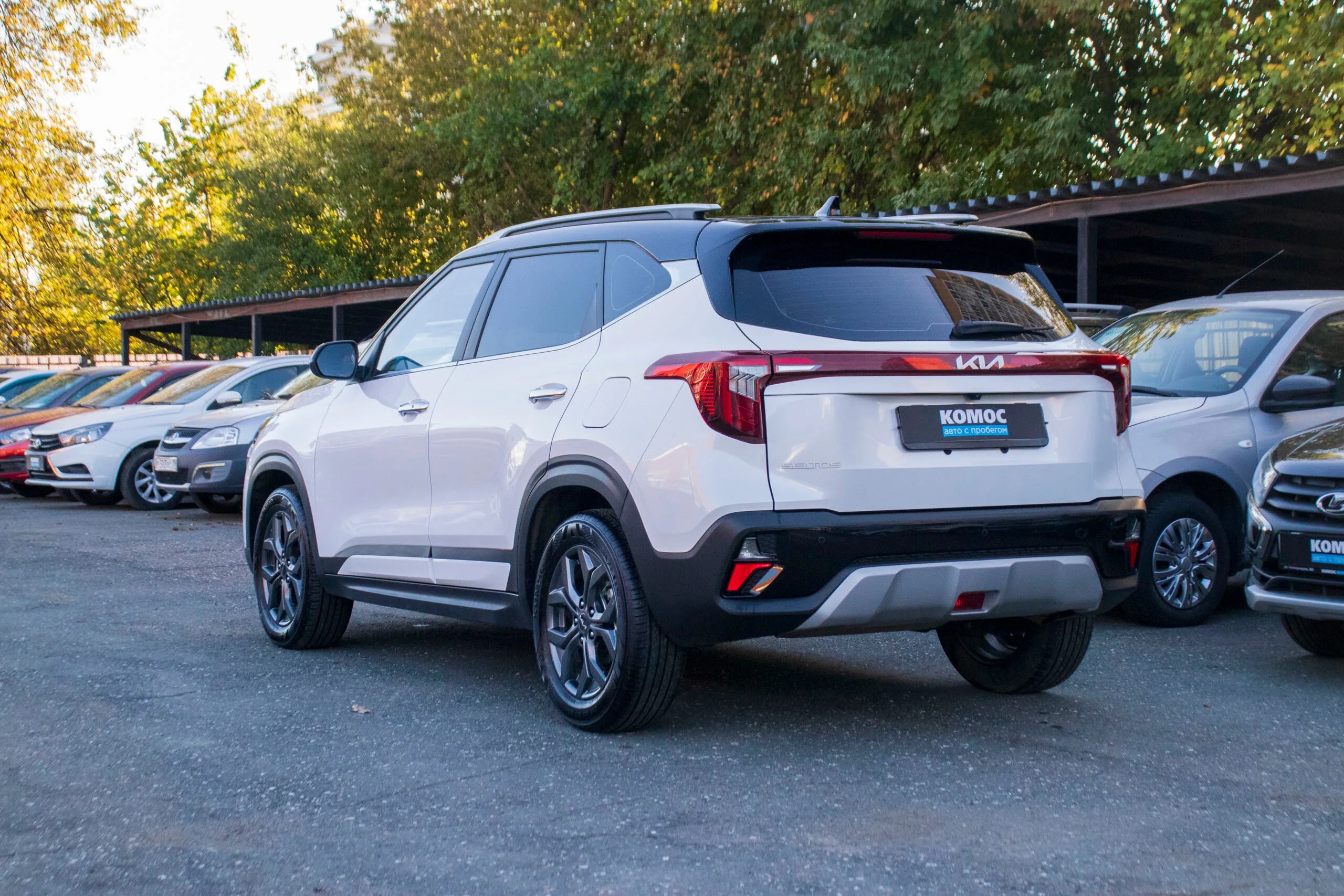 Фото 4 из 32