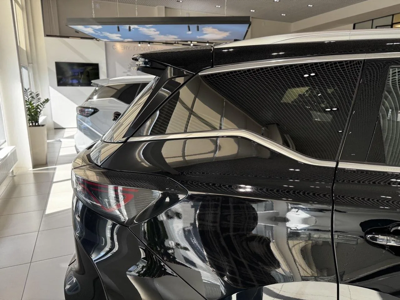 Фото 15 из 20