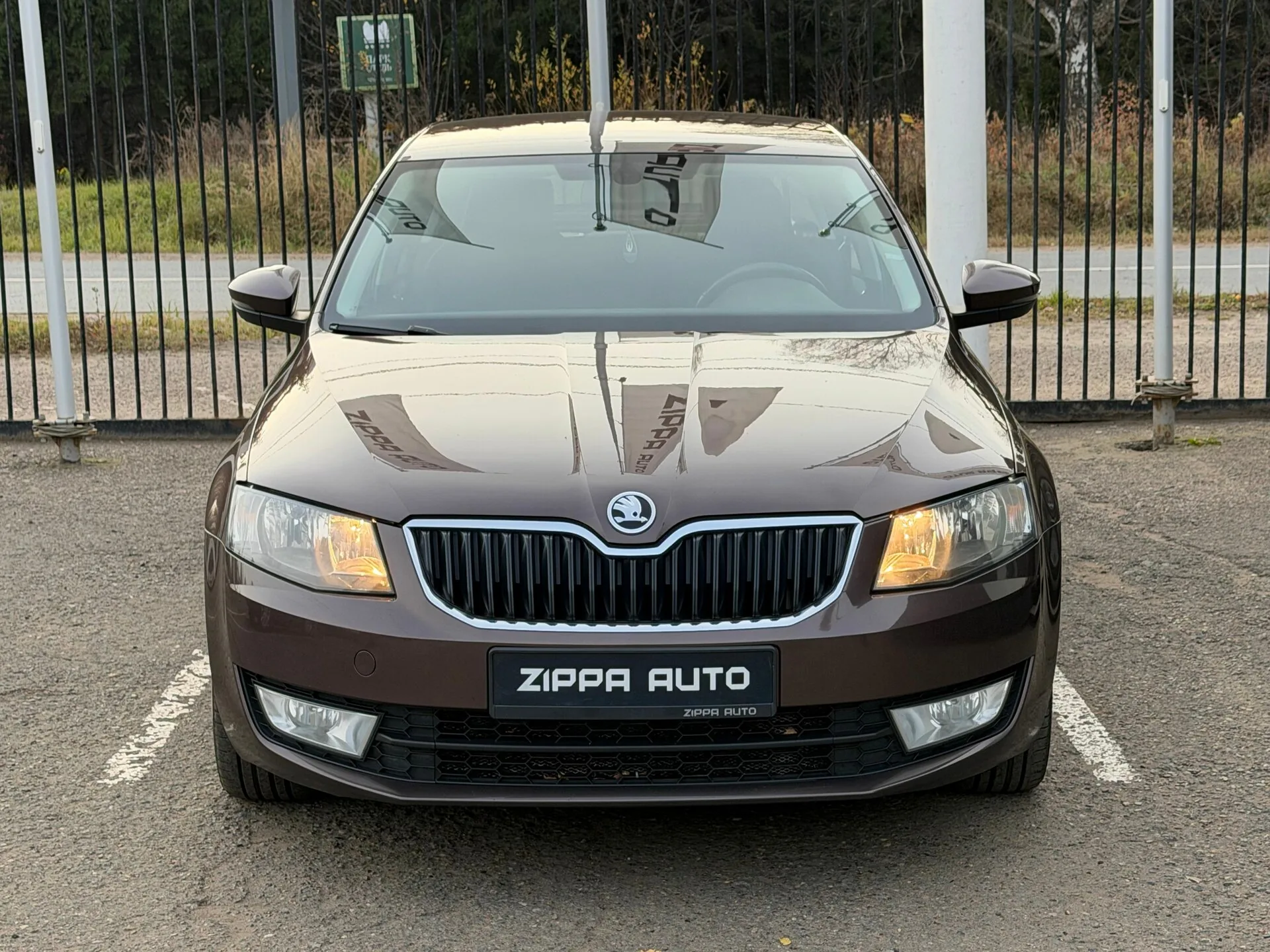 Фото 2 из 26