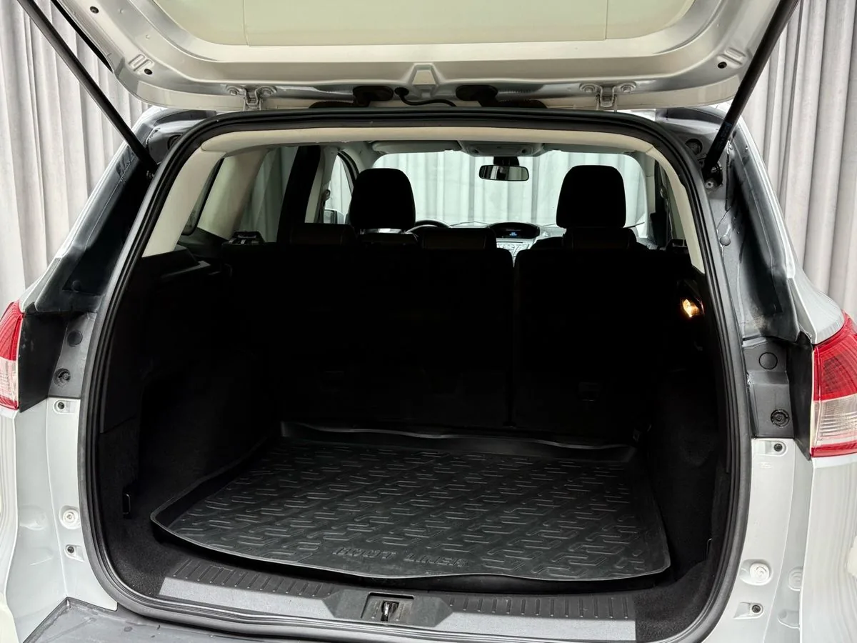 Фото 7 из 30