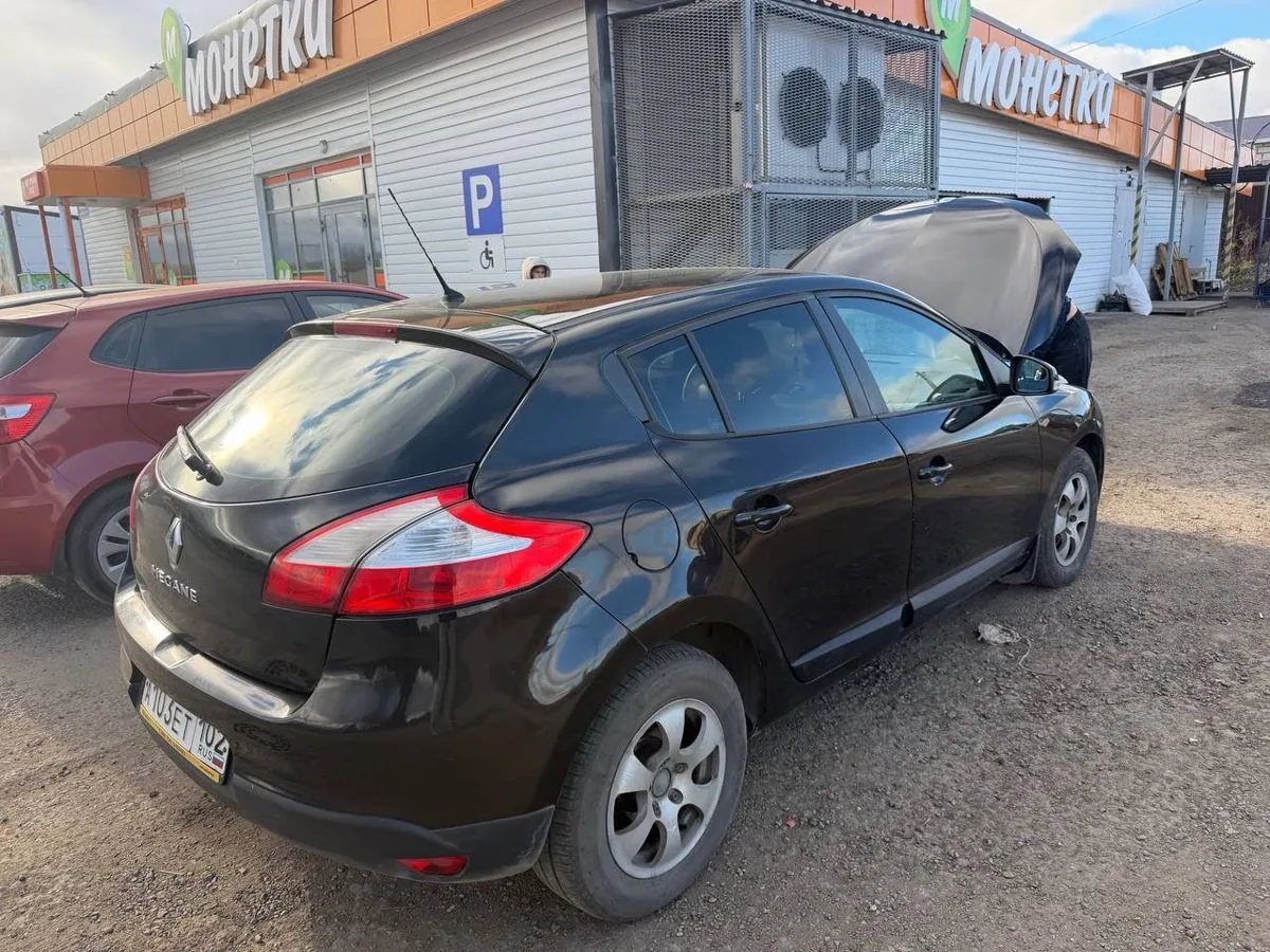Фото 3 из 5