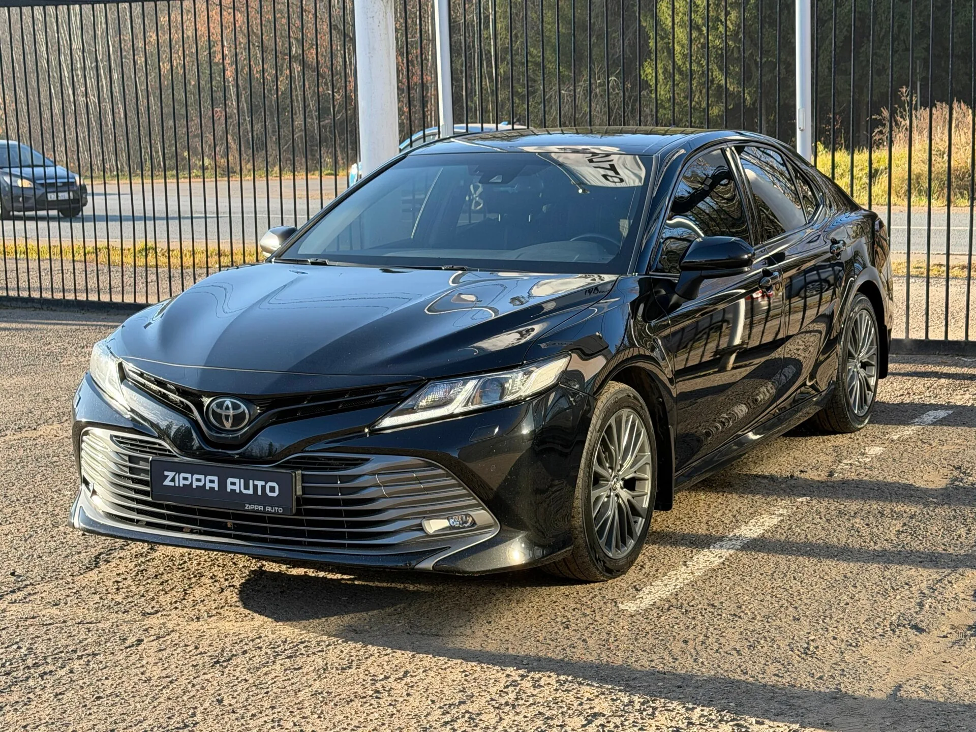 Фото 3 из 30